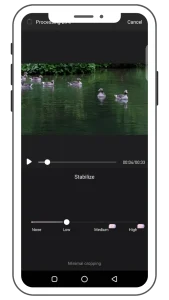 Video Stabilization