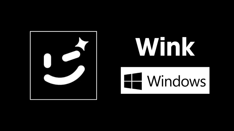Wink For PC